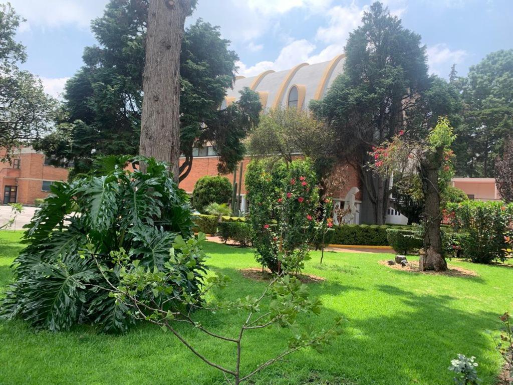 Hotel Express Quinta Soledad Mexico City Exterior photo