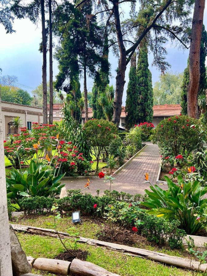 Hotel Express Quinta Soledad Mexico City Exterior photo
